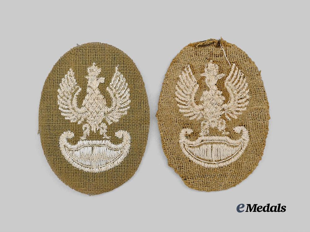 poland,_republic._two_second_war_polish_cloth_eagle_cap_badges_e_medals__e_u24403_3