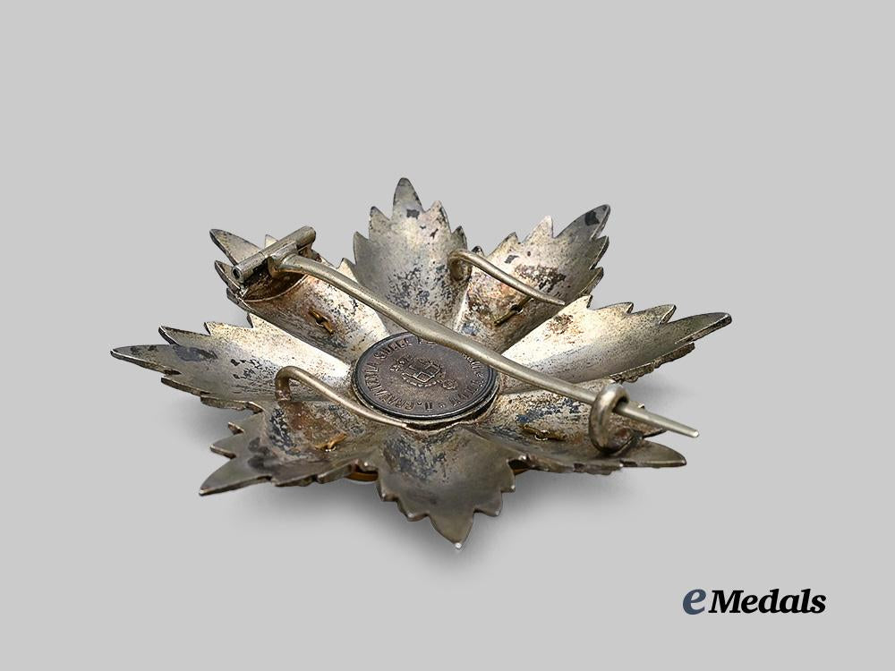 italy,_kingdom._an_order_of_st._maurice_and_st._lazarus,_grand_cross_set,_in_gold,_c.1880_e_medals__e_u24447_10