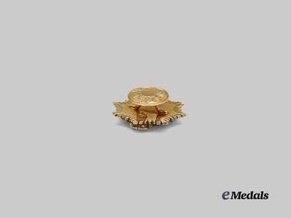 spain,_spanish_state._an_order_of_agricultural_merit,_miniature_breast_star_boutonniere,_in_gold_and_diamonds_e_medals__e_u24497_8