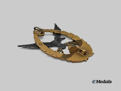 austria-_hungary,_imperial._a_first_war_austro-_hungarian_pilot_badge,_c.1917_e_medals__e_u24513_5