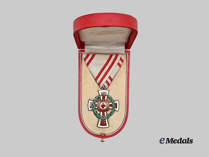 austria,_imperial._a_honour_decoration_of_the_red_cross,_military_division,_i_i_class_cross,_by_scheid_e_medals__e_u24549_3