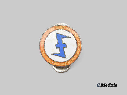 netherlands,_n_s_b._a_rare_weerbaarheidsafdeling_membership_badge_e_medals__e_u24571_2