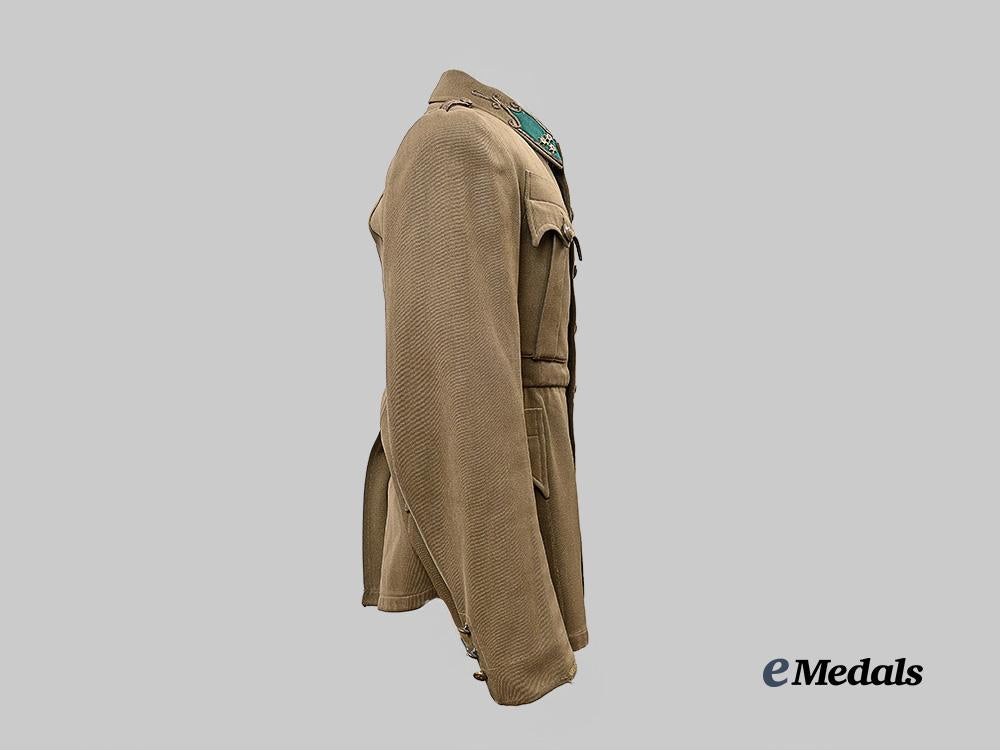hungary,_kingdom._a_magyar_királyi_honvédség_szakaszvezető_tunic_e_medals__e_u24662_6