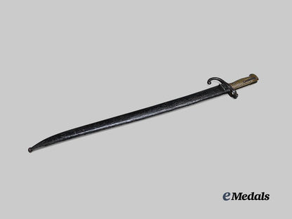 france,_third_republic._a_model1874_gras_bayonet_e_medals__e_u24673_2
