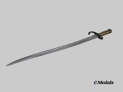 france,_third_republic._a_model1874_gras_bayonet_e_medals__e_u24673_4