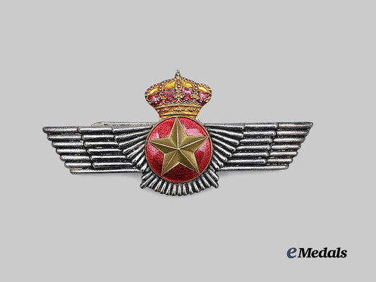 spain,_kingdom._an_observer's_wing_in_silver_e_medals__e_u24821_2