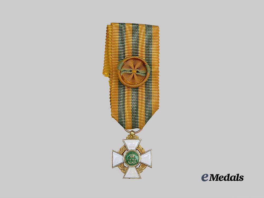 luxembourg,_kingdom._an_order_of_the_oak_crown,_officer_in_gold,_c.1880_e_medals__e_u25003_7