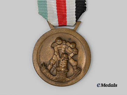 italy,_kingdom._an_italian-_german_african_campaign_medal,_type2_e_medals__e_u25091_3