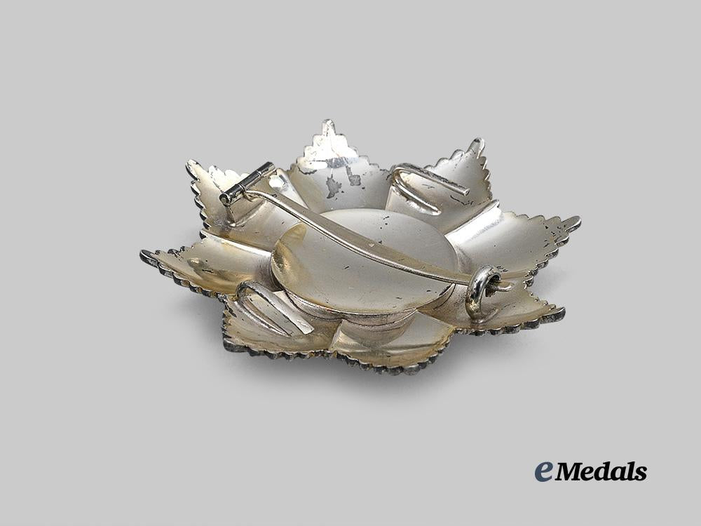 persia,_pahlavi_dynasty._an_order_of_homayoun,_i_i_class_set,_by_bertrand,_c.1950_e_medals__e_u25100_10