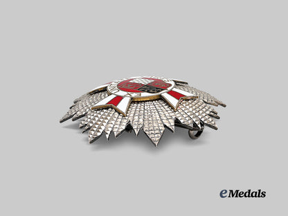 belgium,_kingdom._an_order_of_social_merit_of_belgium,_grand_cross_star_e_medals__e_u25329_3