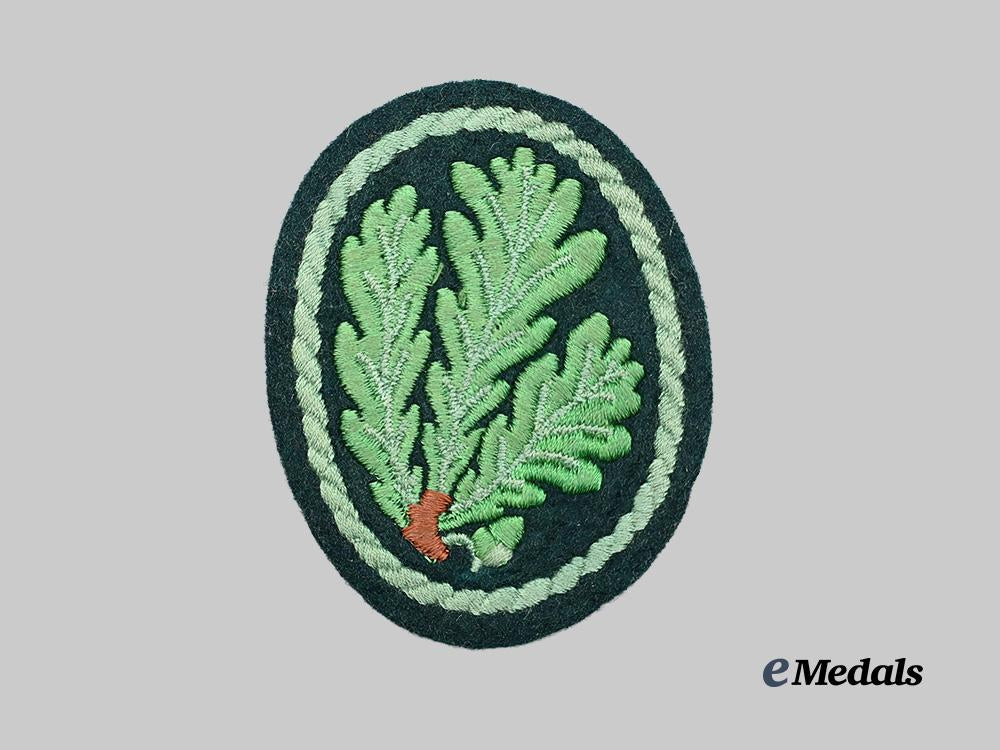 a_second_war_german_jager_regiment_cloth_patch_e_medals__g19493_4