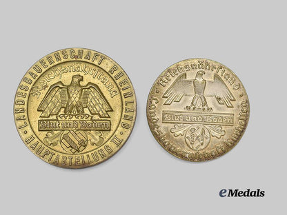 germany,_third_reich._a_pair_of_reichsnährstand_merit_decorations_e_medals__g50442_2