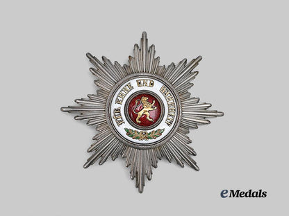 baden,_grand_duchy._a_rare_order_of_the_zähringer_lion,_breast_star_to_the_grand_cross,_c.1917_e_medals__g53393_2