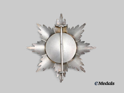 baden,_grand_duchy._a_rare_order_of_the_zähringer_lion,_breast_star_to_the_grand_cross,_c.1917_e_medals__g53393_4