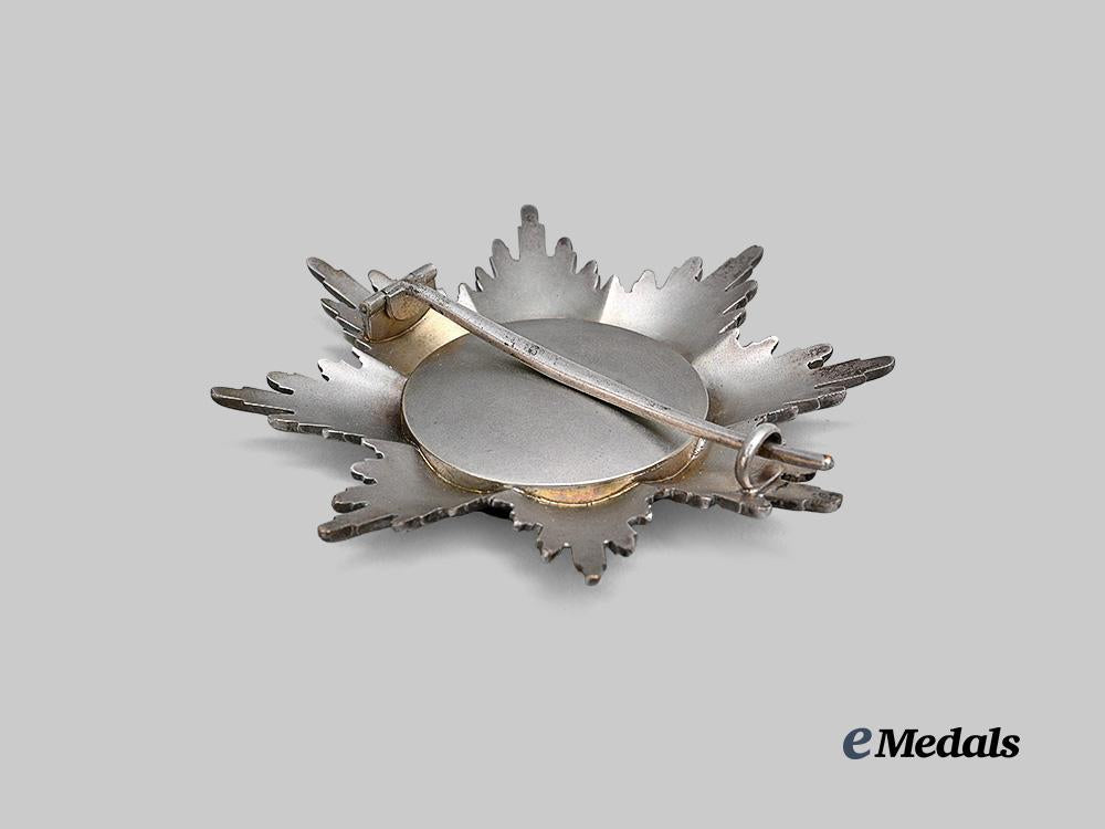 baden,_grand_duchy._a_rare_order_of_the_zähringer_lion,_breast_star_to_the_grand_cross,_c.1917_e_medals__g53393_5