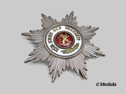 baden,_grand_duchy._a_rare_order_of_the_zähringer_lion,_breast_star_to_the_grand_cross,_c.1917_e_medals__g53393_6