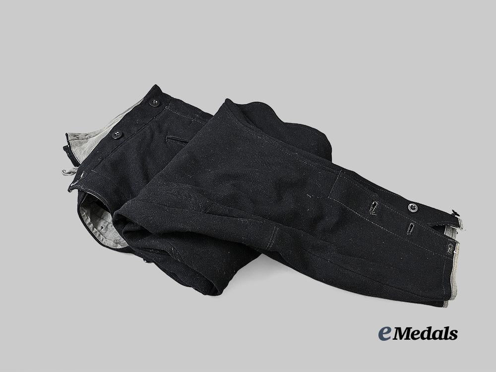 germany,_s_s._a_pair_of_allgemeine_s_s_breeches_e_medals__g60828_3