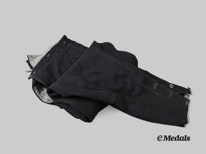germany,_s_s._a_pair_of_allgemeine_s_s_breeches_e_medals__g60828_3