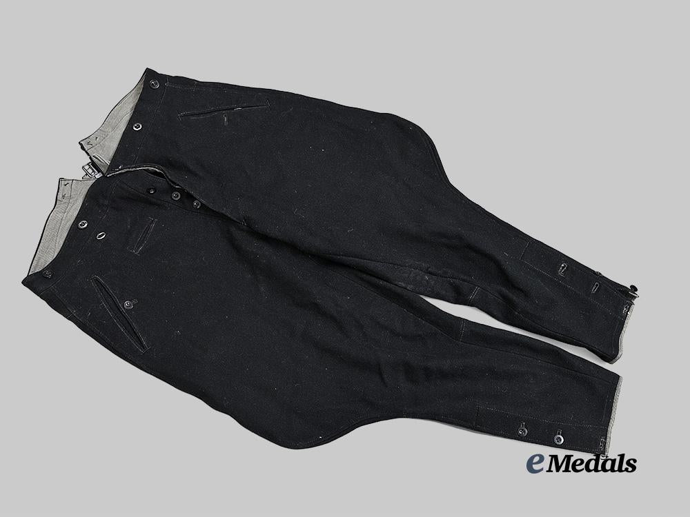 germany,_s_s._a_pair_of_allgemeine_s_s_breeches_e_medals__g60828_5