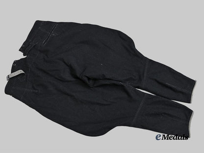 germany,_s_s._a_pair_of_allgemeine_s_s_breeches_e_medals__g60828_6
