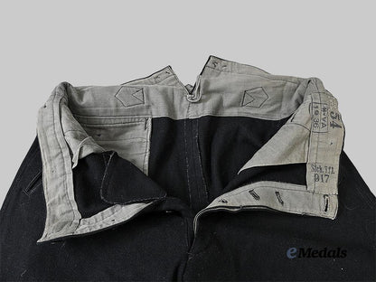 germany,_s_s._a_pair_of_allgemeine_s_s_breeches_e_medals__g60828_8