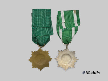 germany,_wehrmacht._a_pair_of_eastern_peoples_decorations,_i_i_class,_for_merit_and_bravery_e_medals__g60956_4