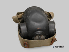 Germany, Wehrmacht. A Model 38 Horse and Mule Gas Mask, with Case, by Drägerwerk