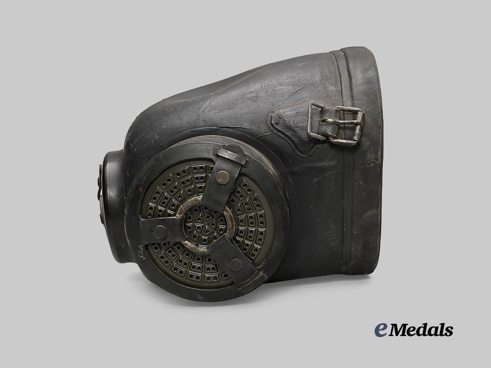 germany,_wehrmacht._a_model38_horse_and_mule_gas_mask,_with_case,_by_drägerwerk_e_medals__g61104_9