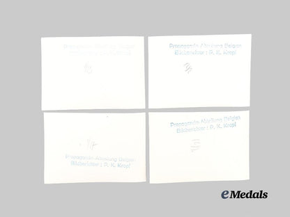 germany,_third_reich._a_lot_of_photos_depicting_kesselring_and_von_falkenhausen_with_japanese_officials_e_medals__g61115_10