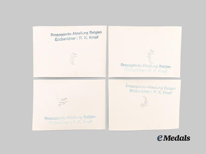 germany,_third_reich._a_lot_of_photos_depicting_kesselring_and_von_falkenhausen_with_japanese_officials_e_medals__g61115_8