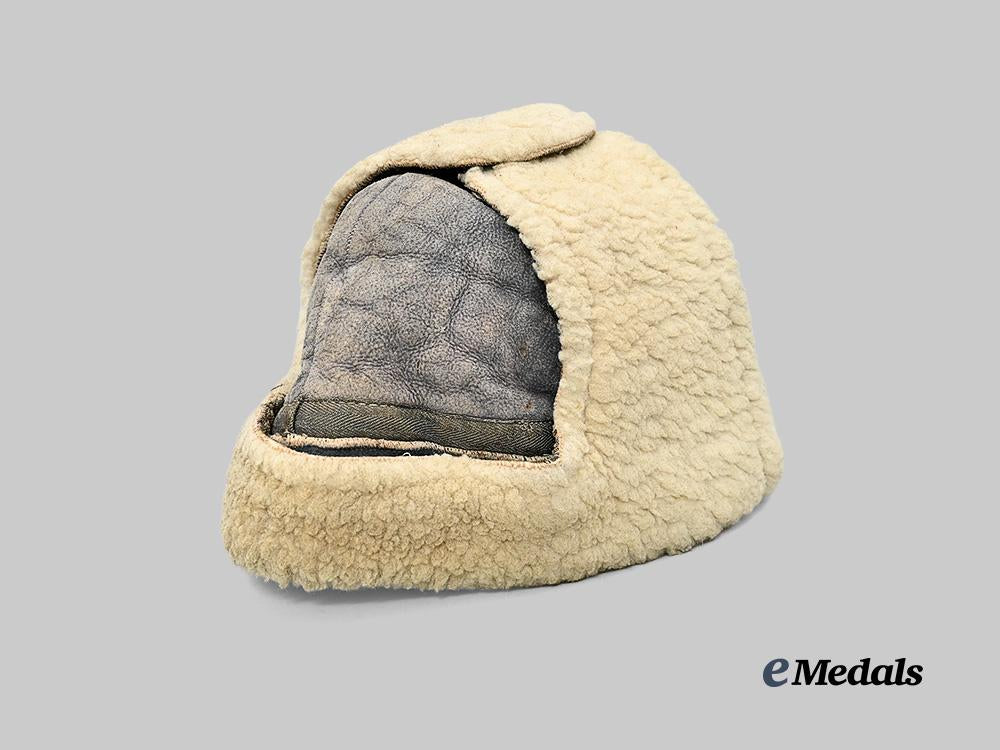 germany,_wehrmacht._a_winter_field_cap_e_medals__g61132_6