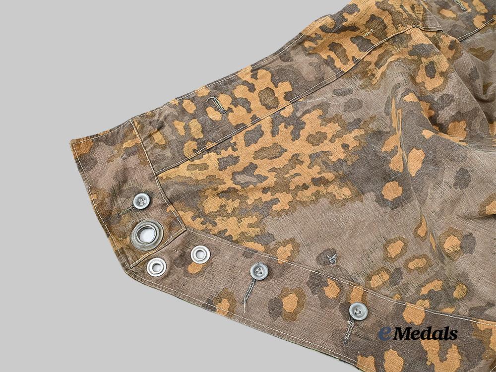 germany,_s_s._a_waffen-_s_s_oak_leaf_b_pattern_reversible_zeltbahn_e_medals__g61226_6