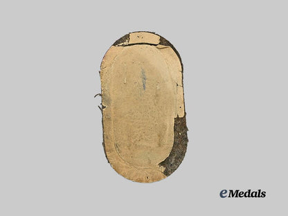 germany,_heer._a_demjansk_shield_e_medals__g61321_3