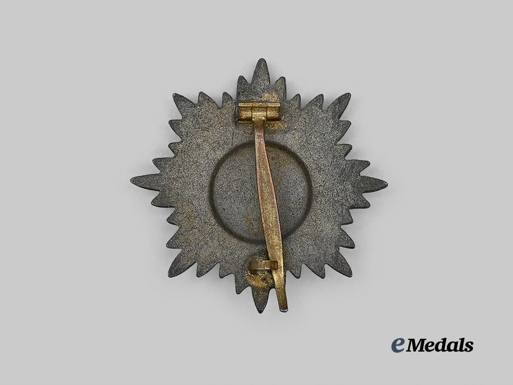 germany,_wehrmacht._an_eastern_peoples_bravery_decoration,_i_class_in_gold_e_medals__g61364_3