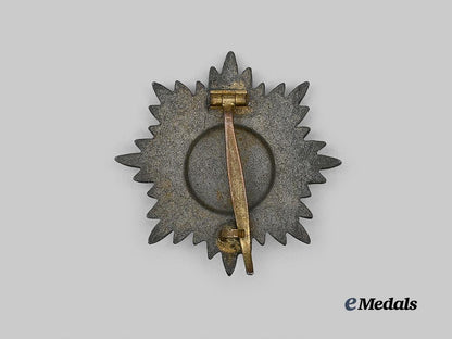 germany,_wehrmacht._an_eastern_peoples_bravery_decoration,_i_class_in_gold_e_medals__g61364_3