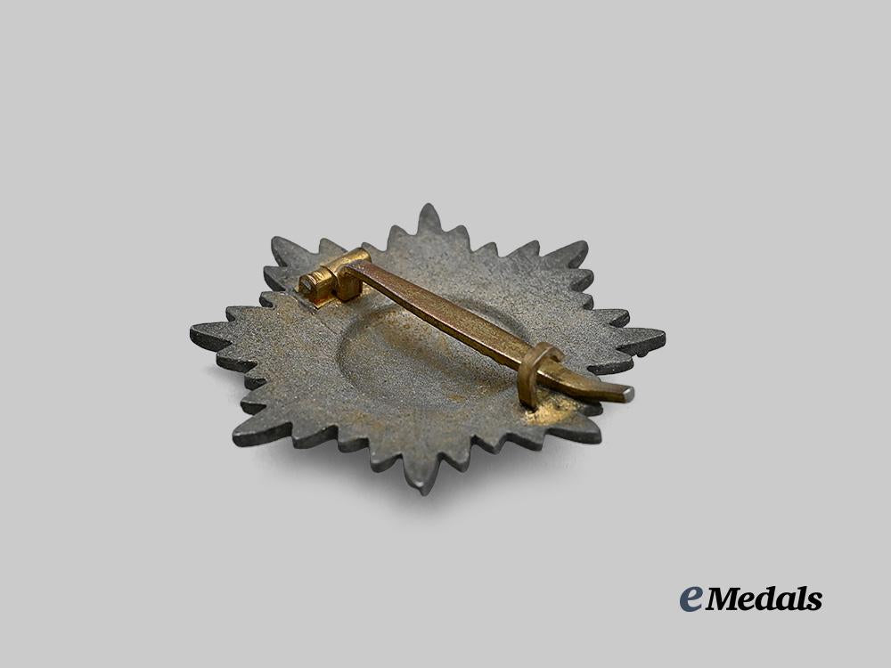 germany,_wehrmacht._an_eastern_peoples_bravery_decoration,_i_class_in_gold_e_medals__g61364_4