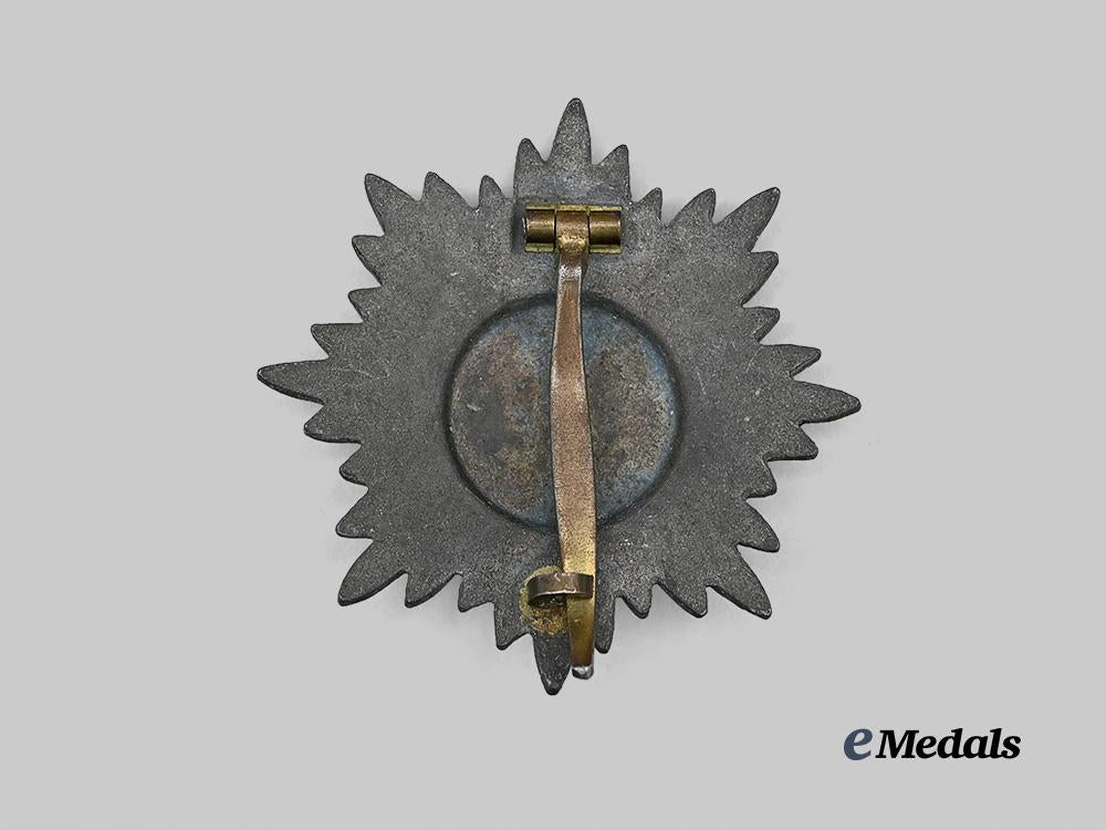 germany,_wehrmacht._an_eastern_peoples_bravery_decoration,_i_class_in_gold_e_medals__g61452_3