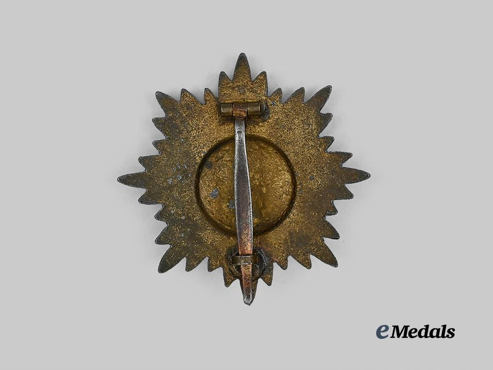 germany,_wehrmacht._an_eastern_peoples_bravery_decoration,_i_class_in_gold_e_medals__g61581_3