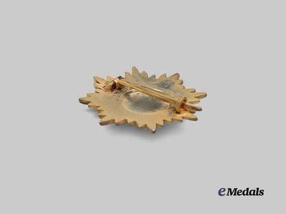 germany,_wehrmacht._an_eastern_peoples_merit_decoration,_i_class_in_gold,_by_wächtler&_lange_e_medals__g61790_4