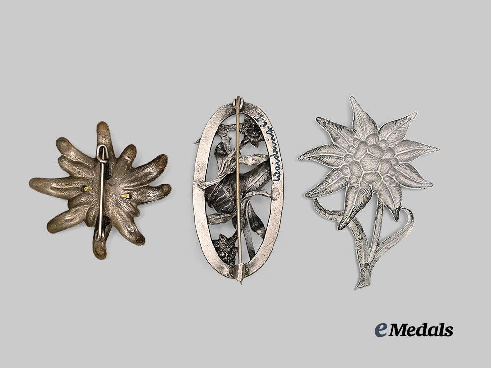 germany,_third_reich._a_mixed_lot_of_edelweiss_insignia_for_heer_and_s_a_personnel_e_medals__g61905_3