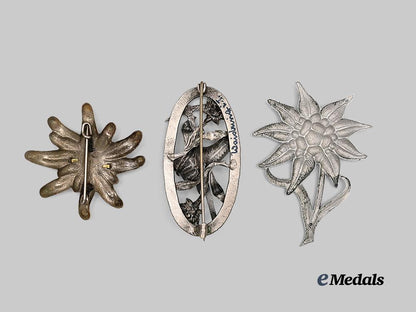 germany,_third_reich._a_mixed_lot_of_edelweiss_insignia_for_heer_and_s_a_personnel_e_medals__g61905_3