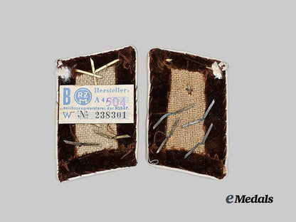 germany,_n_s_d_a_p._a_set_of_kreis-_level_obergemeinschaftsleiter_collar_tabs_e_medals__g62158_3