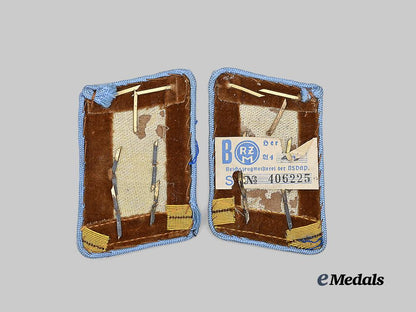 germany,_n_s_d_a_p._a_set_of_orts-_level_hauptgemeinschaftsleiter_collar_tabs_e_medals__g62473_3