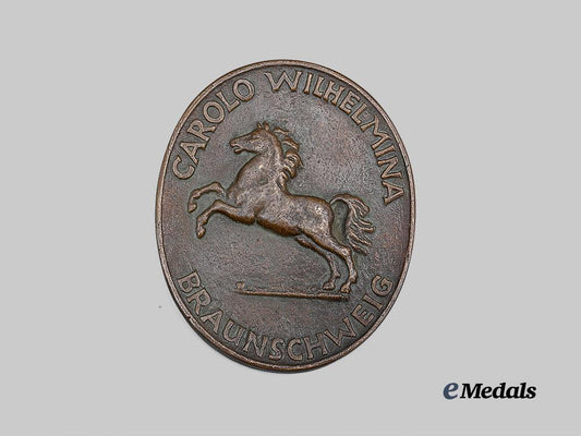 braunschweig,_duchy._a_collegium_carolinum_commemorative_plaque_e_medals__g62531_2