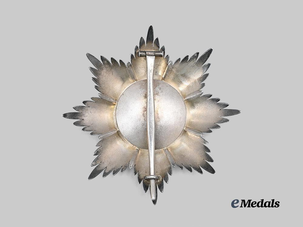 württemberg,_kingdom._a_rare_order_of_the_württemberg_crown,_grand_cross_breast_star,_for_royal_house_members_e_medals__g62533-missing_2