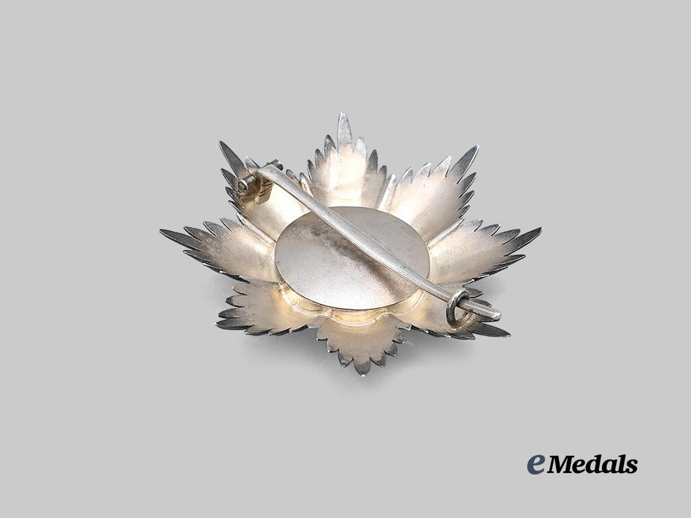 württemberg,_kingdom._a_rare_order_of_the_württemberg_crown,_grand_cross_breast_star,_for_royal_house_members_e_medals__g62533-missing_3