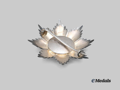 württemberg,_kingdom._a_rare_order_of_the_württemberg_crown,_grand_cross_breast_star,_for_royal_house_members_e_medals__g62533-missing_3