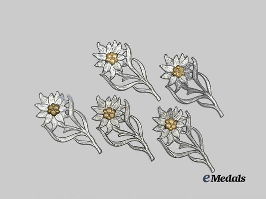 germany,_s_a._a_lot_of_edelweiss_insignia_for_service_caps_e_medals__g63122_2