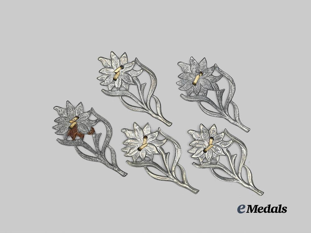 germany,_s_a._a_lot_of_edelweiss_insignia_for_service_caps_e_medals__g63122_3