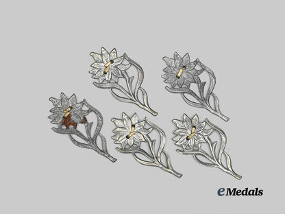 germany,_s_a._a_lot_of_edelweiss_insignia_for_service_caps_e_medals__g63122_3